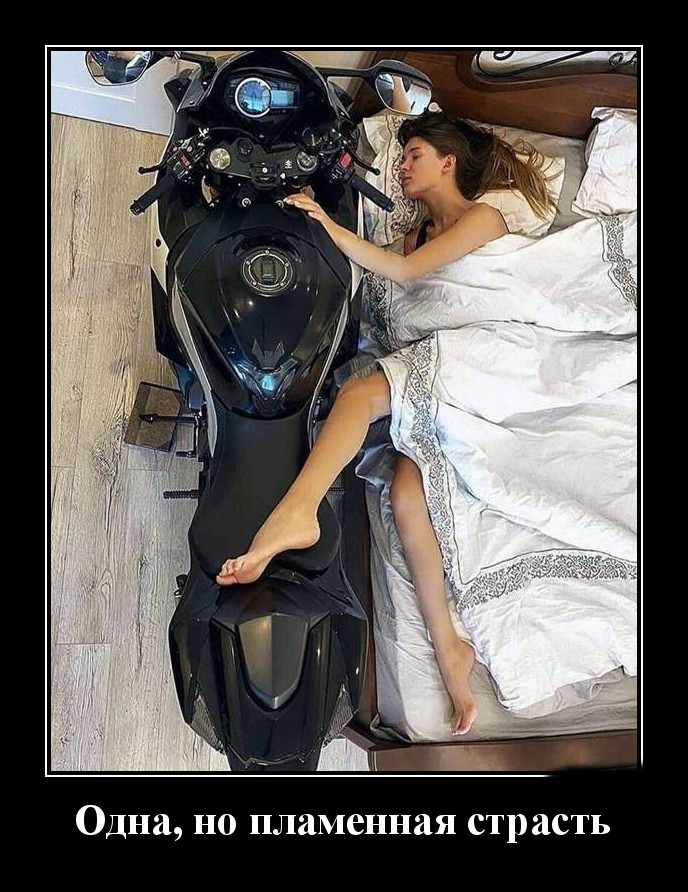 Podborka luchshikh demotivatorov 523 009